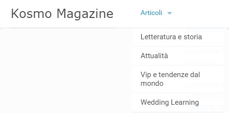 articoli