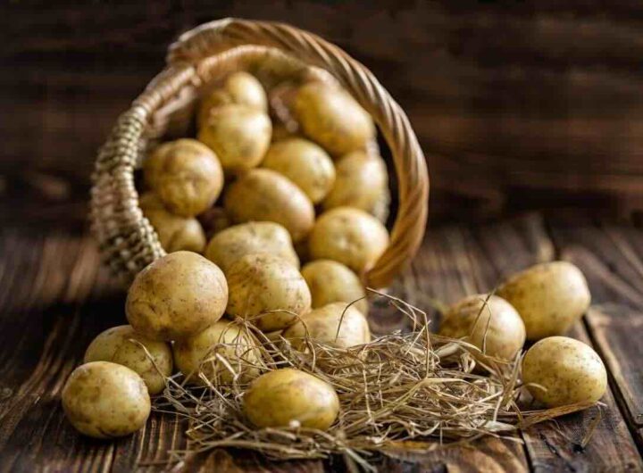 Patate resistenti