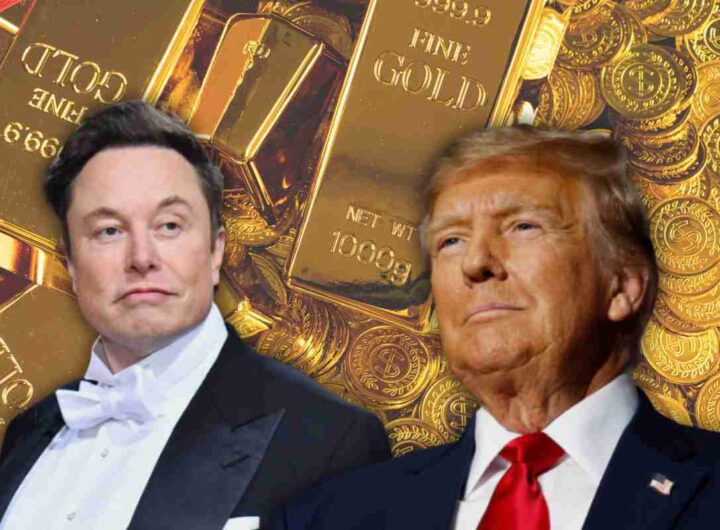 elon musk donald trump news
